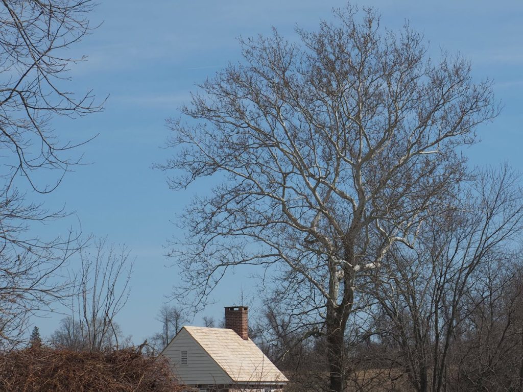 Каменный дом в СТ «Сосны»